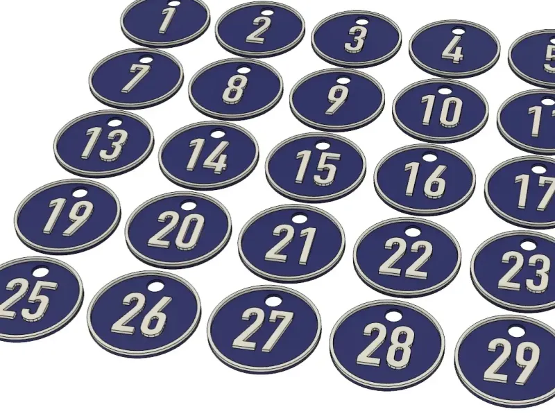 Numbered keychains predefined from 1 to 300 and empty tag