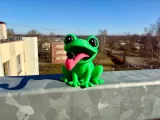 Frog with insect-4
