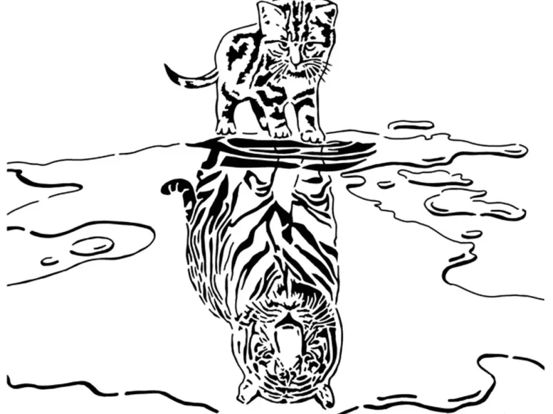 Cat reflection stencil