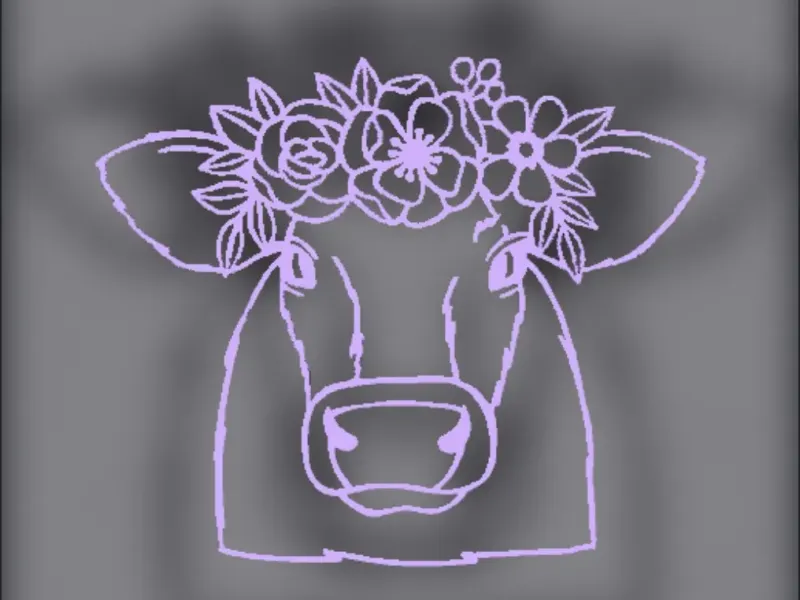 Jersey cow 