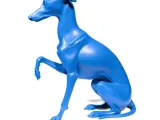 Greyhounds-6