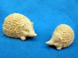 Little Hedgehog-0
