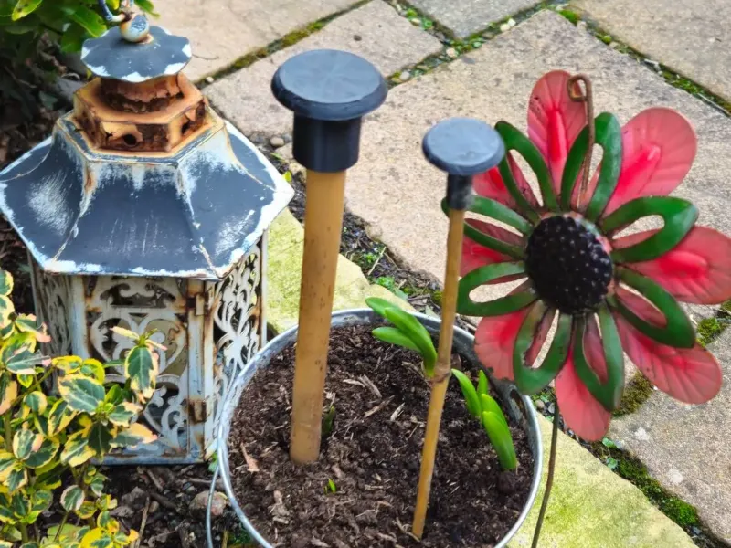 Gartenstab / Bambusstab-Aufsätze / Abdeckungen / Endkappen