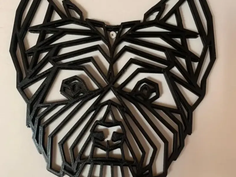York terrier 