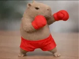 Боксёр Капибара-0