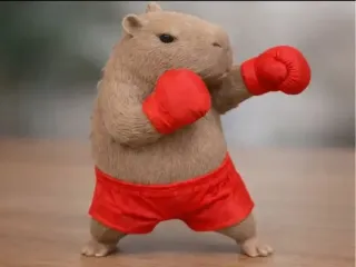 Боксёр Капибара