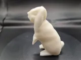 Lapin bélier-4