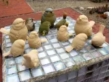 Family of Birds -0