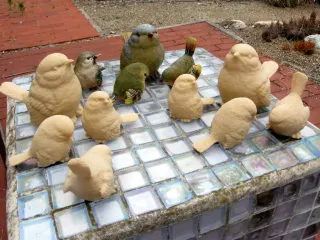 Family of Birds 