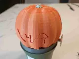 Surprise pumpkin-1