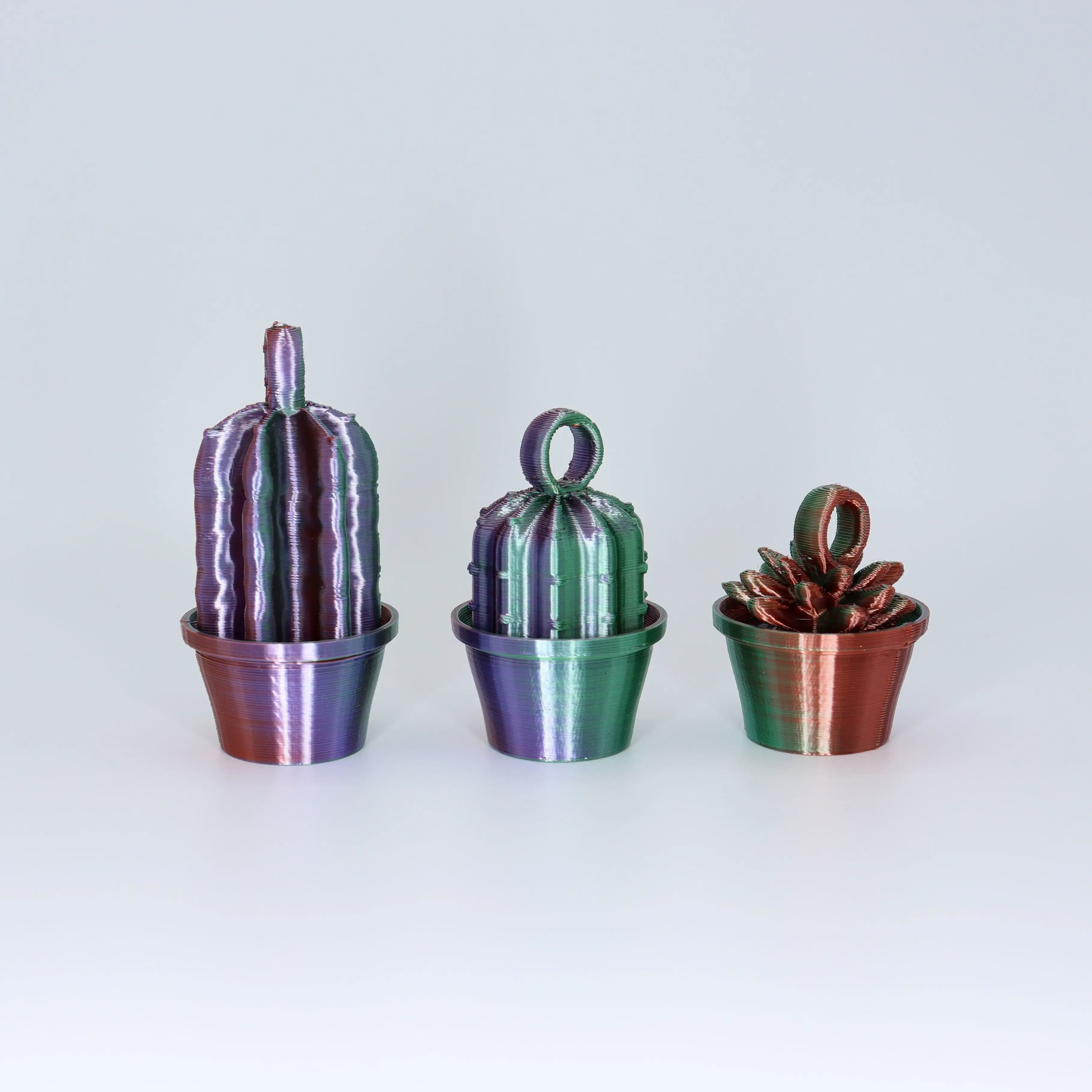 Cactus keychains