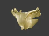 A ring made of an oak leaf-3
