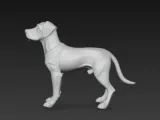 Rhodesian dog-3