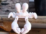 crab-2