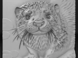otter-0
