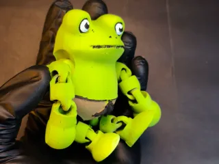 relaxed frog