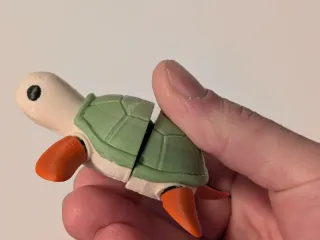 Cute Flexi Turtle