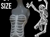 rib cage-0