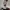 Life-Size Art the Clown – Full Horror Display Model