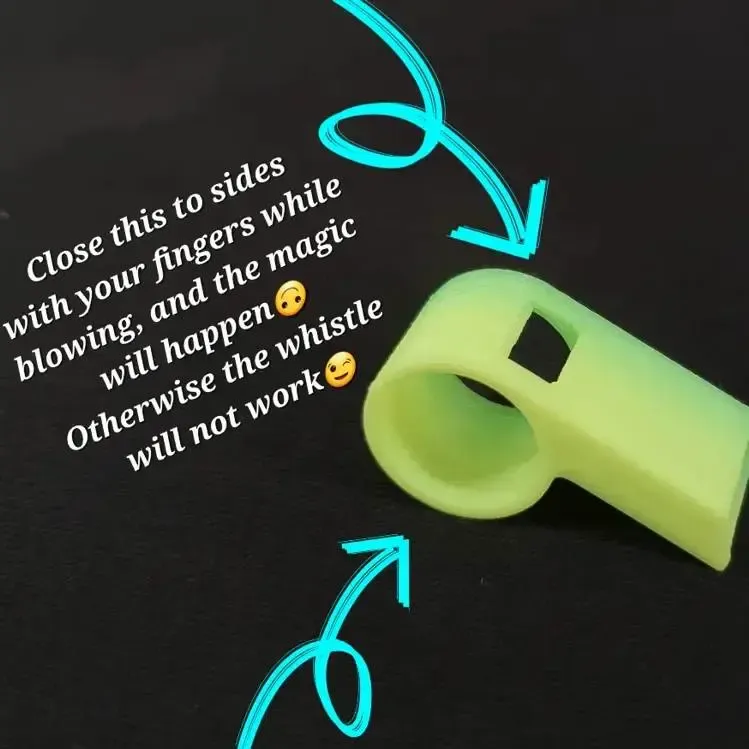 The Magic Whistle