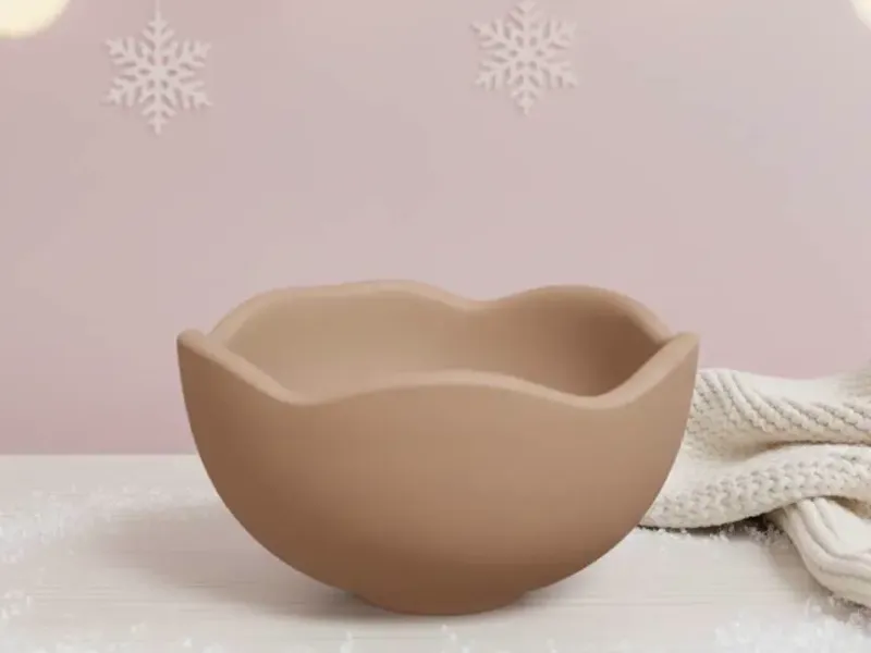Cute Bowl Organizador Cuenco Tazon