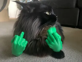 Cat arms Middle finger 