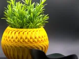 WIND Planter-4