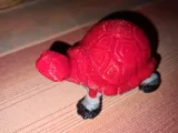 Große Schildkröte-4