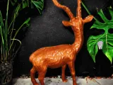 Gazelle-2