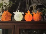 pumpkin cow-8