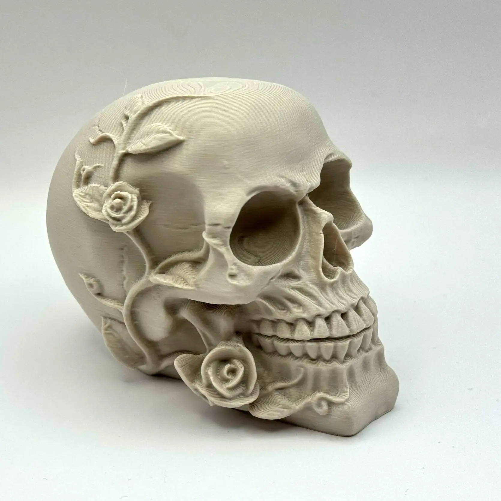 Death Blooms – Ornamental Skull with Roses