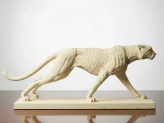 Cheeta