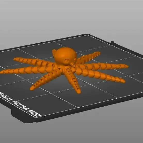 octopus