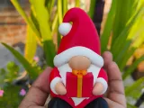 Christmas Special - Gnome (Gift Box)-1