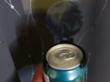 Can Cover Skull v3-2