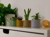 Vase #6 - Pentagon Pattern-1