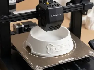 pet bowl