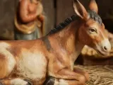 donkey-0