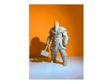 iceland warrior-2