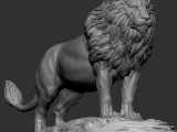 Aslan-6