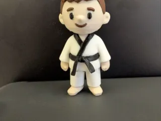 The Karate kid