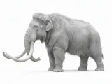mammoth.-0