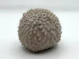 Bumpy the Hedgehog-4