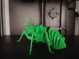 Articulated Praying Mantis-3