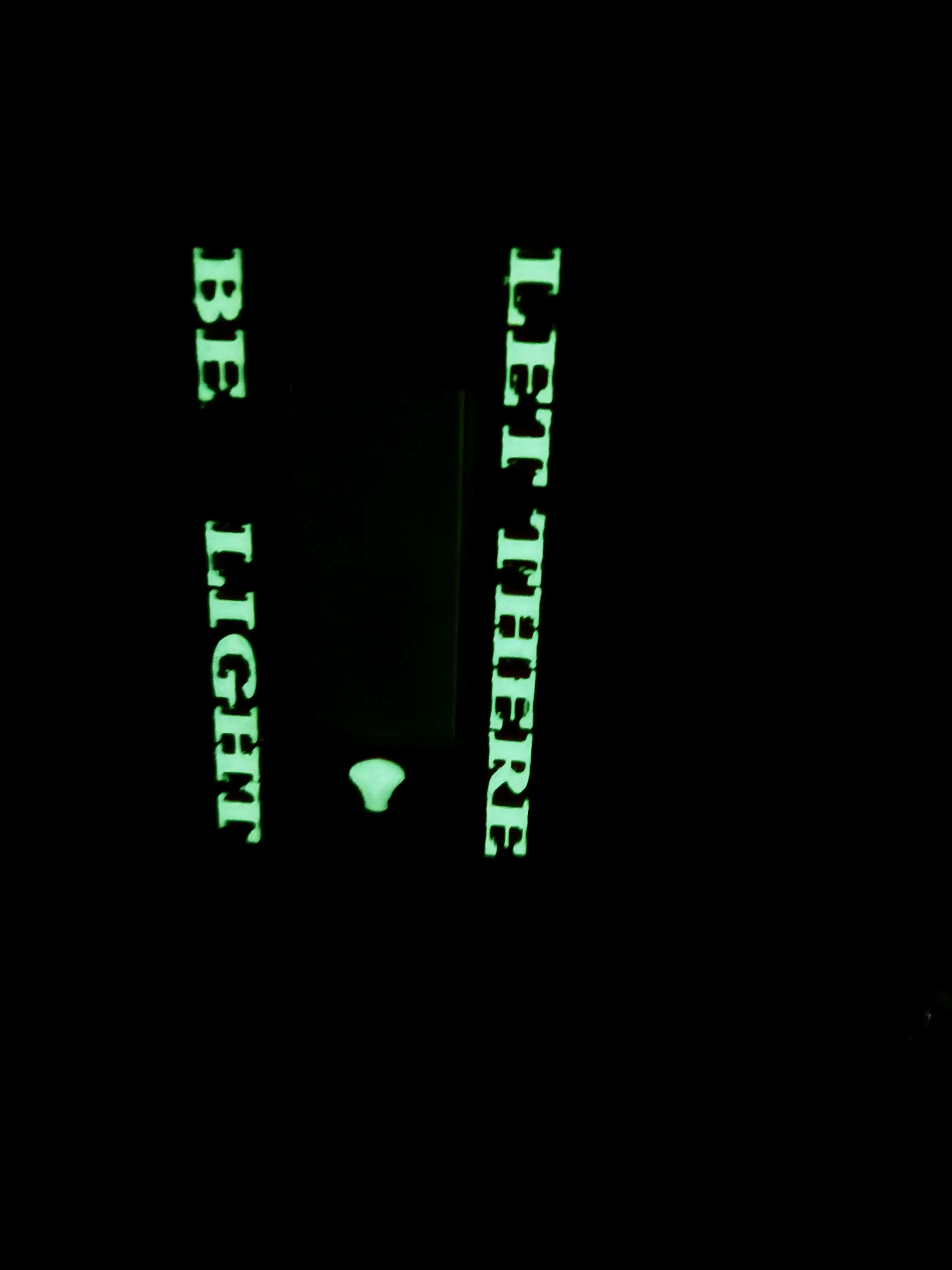 "LET THERE BE LIGHT" LIGHT SWITCH COVER