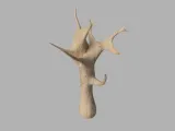Dead Zombie Tree-2