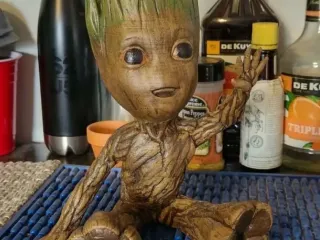 Groot