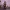 Sciel - Clair Obscur: Expedition 33 Bust Figure