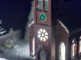 WartyNZ-3