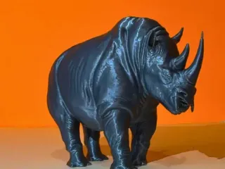 angry rhino